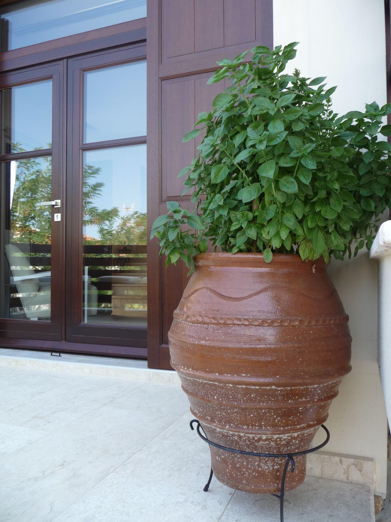 אמוליאני Helianthus Guesthouse מראה חיצוני תמונה