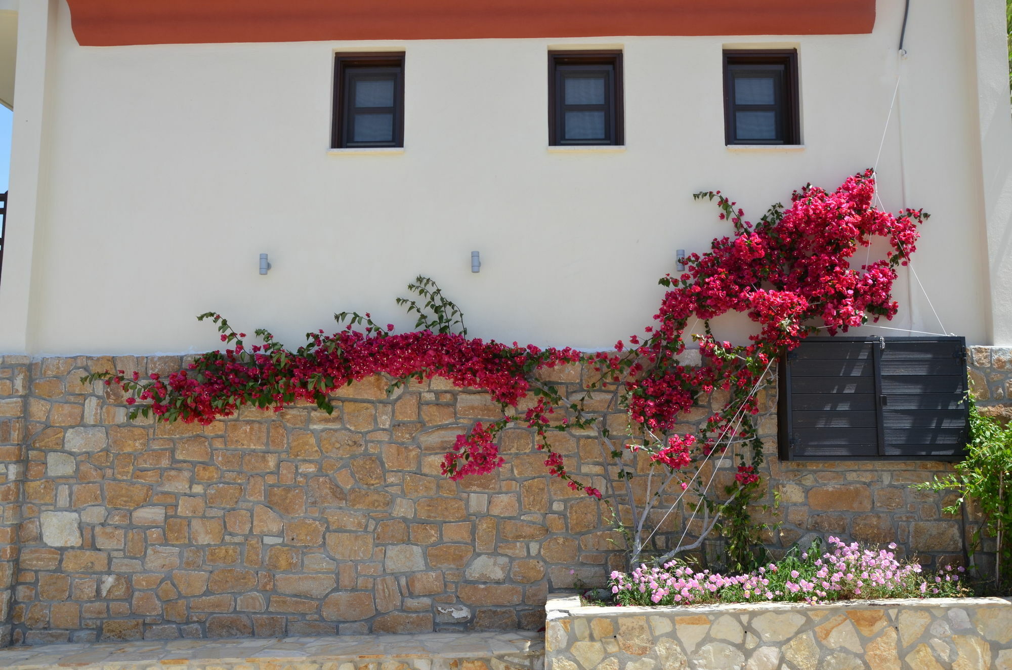 אמוליאני Helianthus Guesthouse מראה חיצוני תמונה